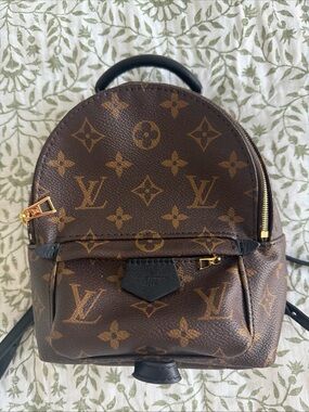 Louis Vuitton Palm Springs mini